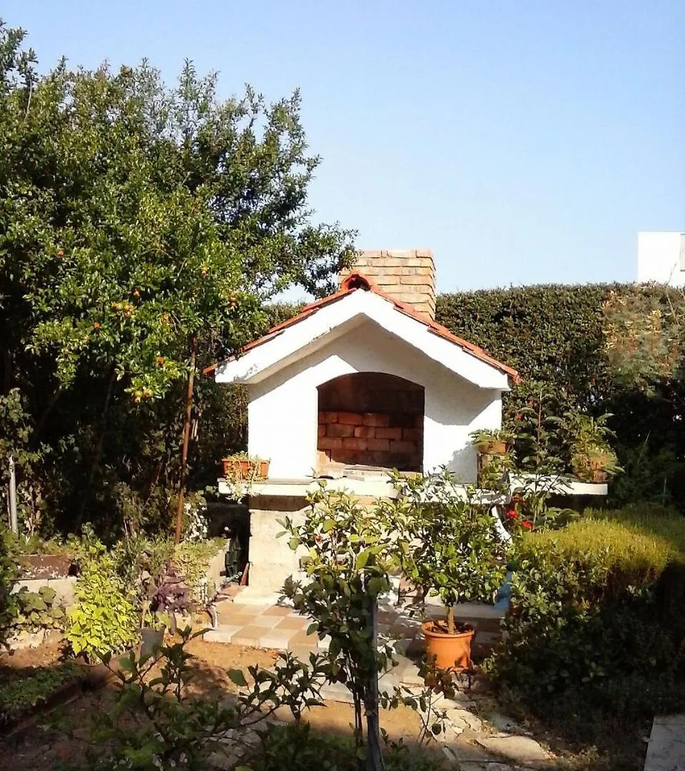 Apartment Branka Petrčane Hırvatistan